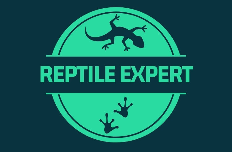 Reptile Expert